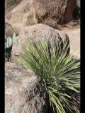 Enchanted Rock 2012